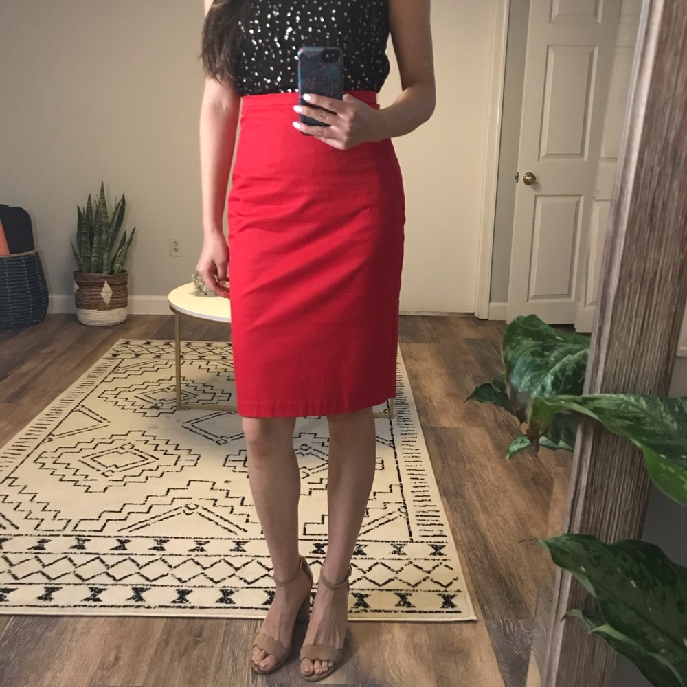 Pencil Skirt